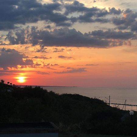Agriturismo Sila Termoli Ngoại thất bức ảnh
